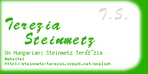 terezia steinmetz business card